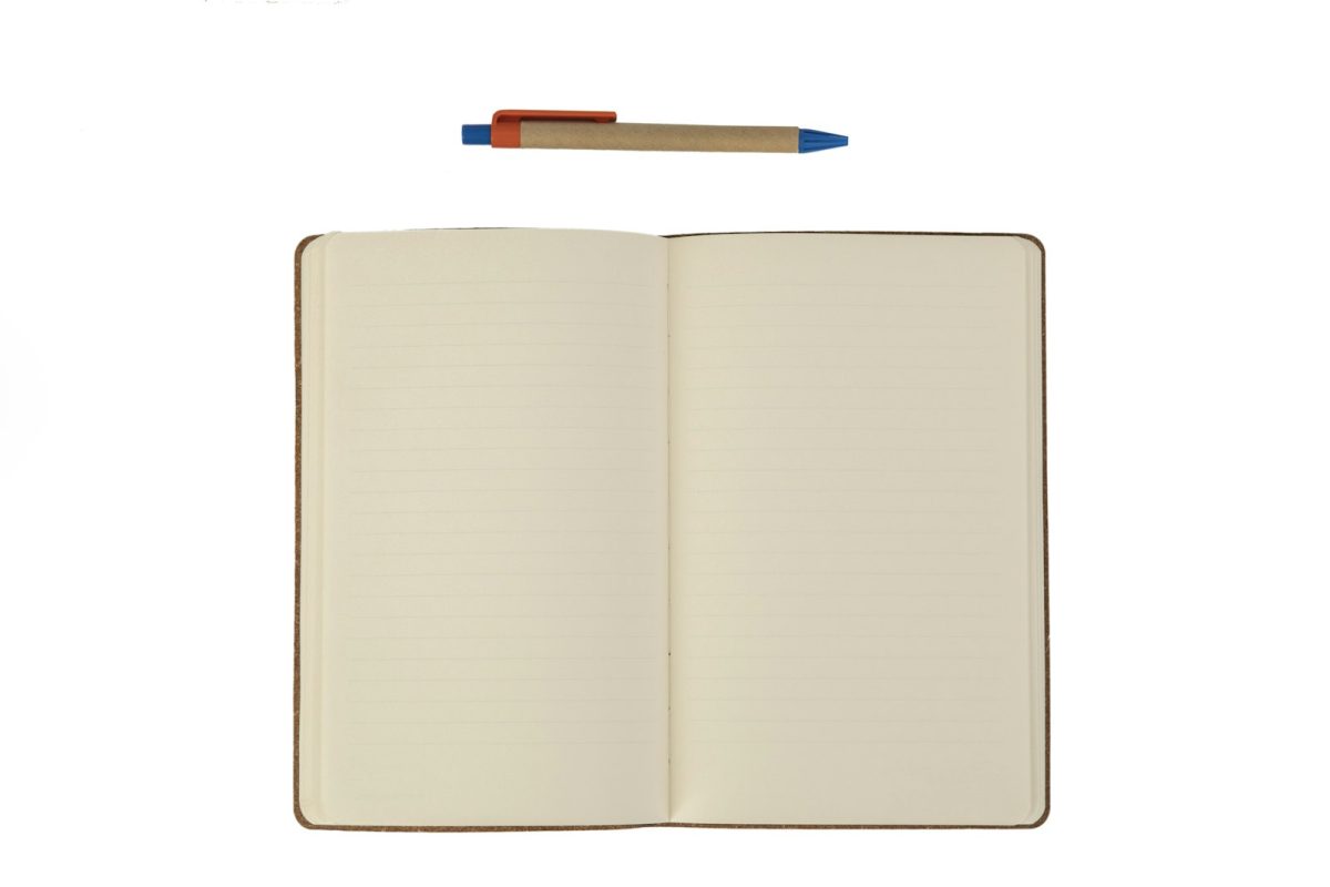 An open notebook with a pen above the blank pages